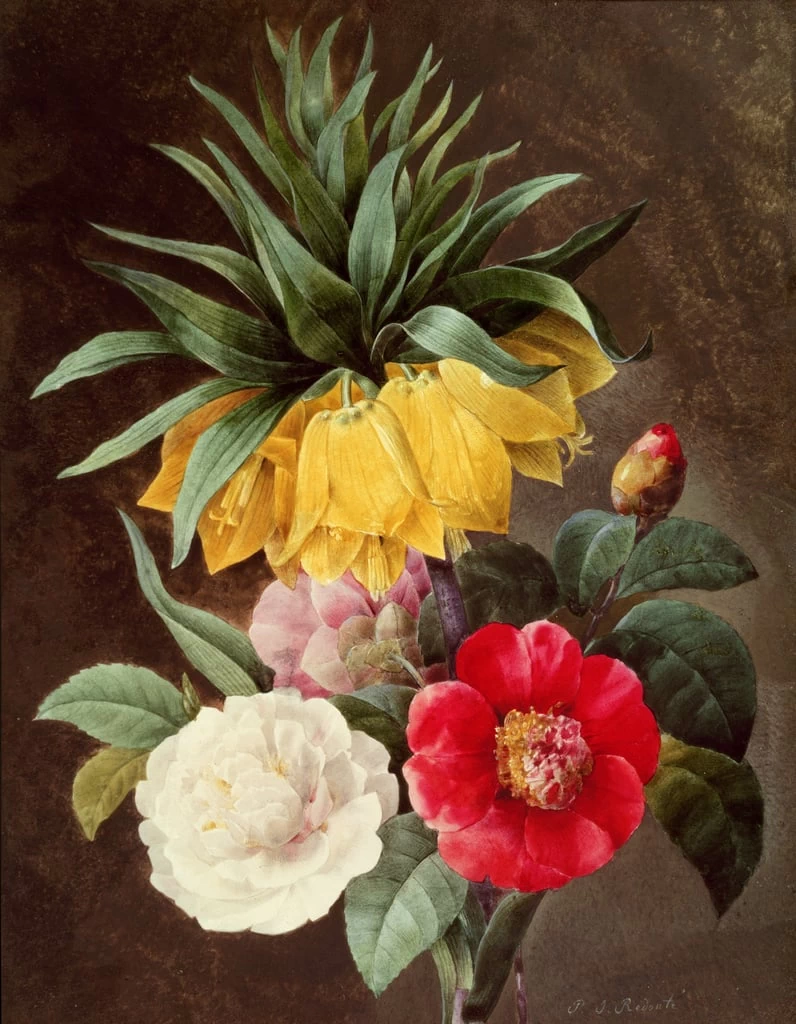 Pierre Joseph Redouté - 151, Fiori esotici
